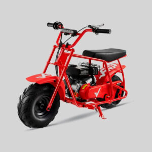 Mini Bike